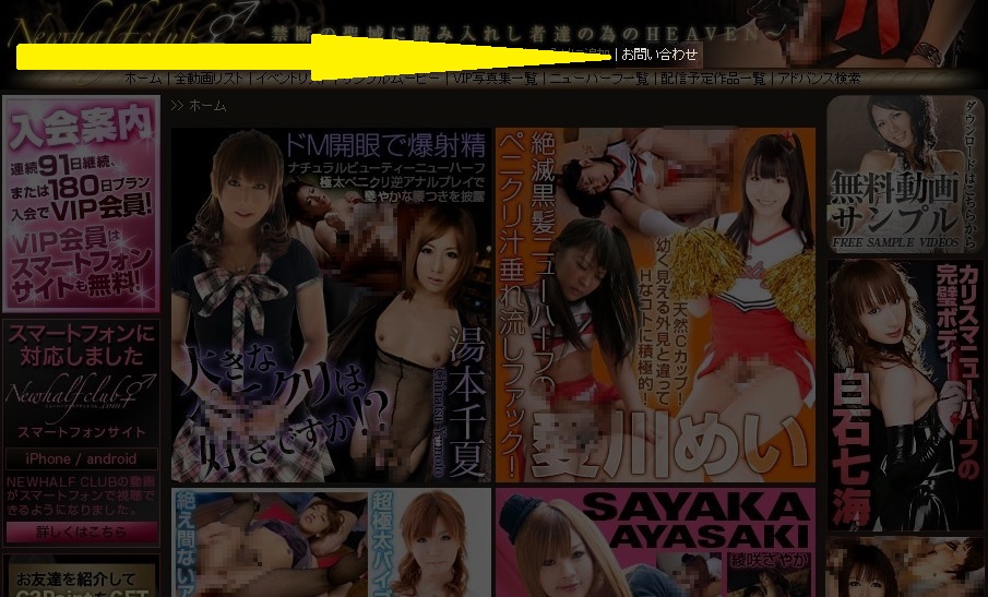 �j���[�n�[�t�N���u���₢���킹