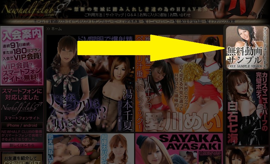 �j���[�n�[�t�N���u�����T���v������